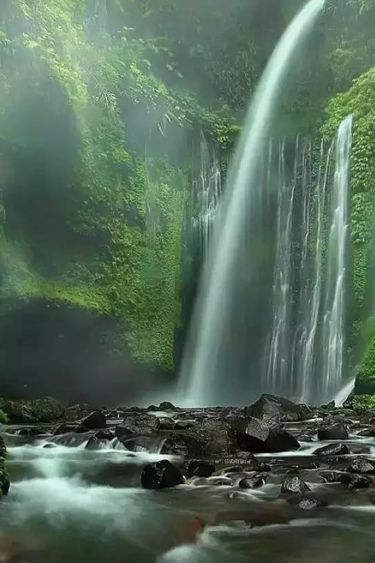 月光影视