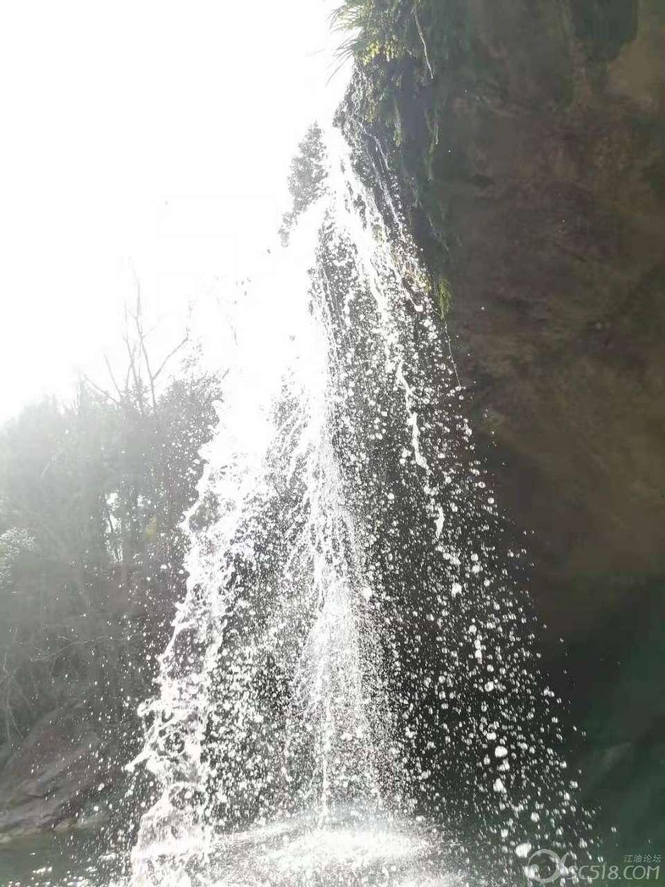 沪江开心词场