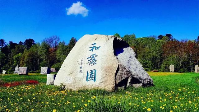 沪江开心词场