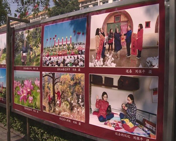 酸奶和纯奶哪个更好点