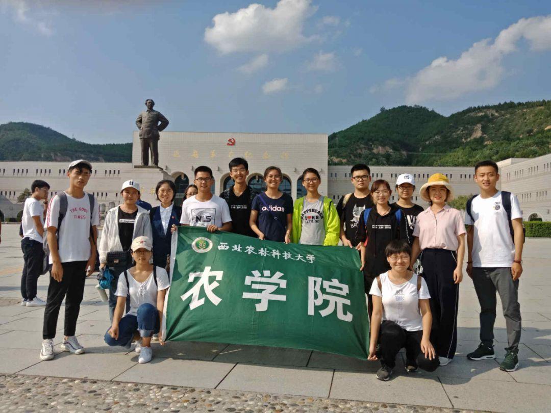 为什么明星减肥那么容易
